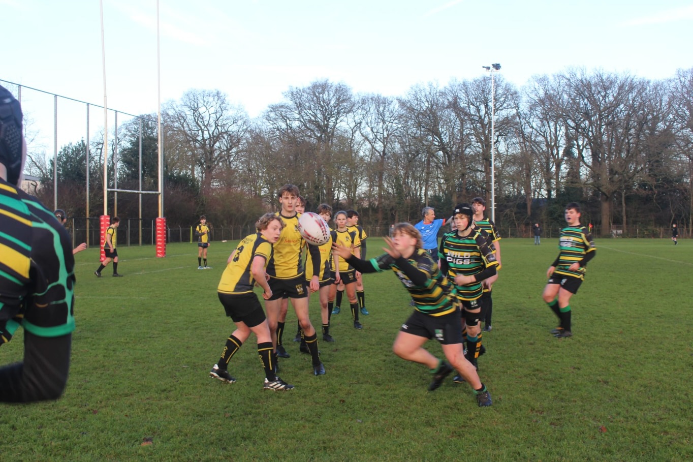 Arnhemse Rugby Club The Pigs | Arnhem