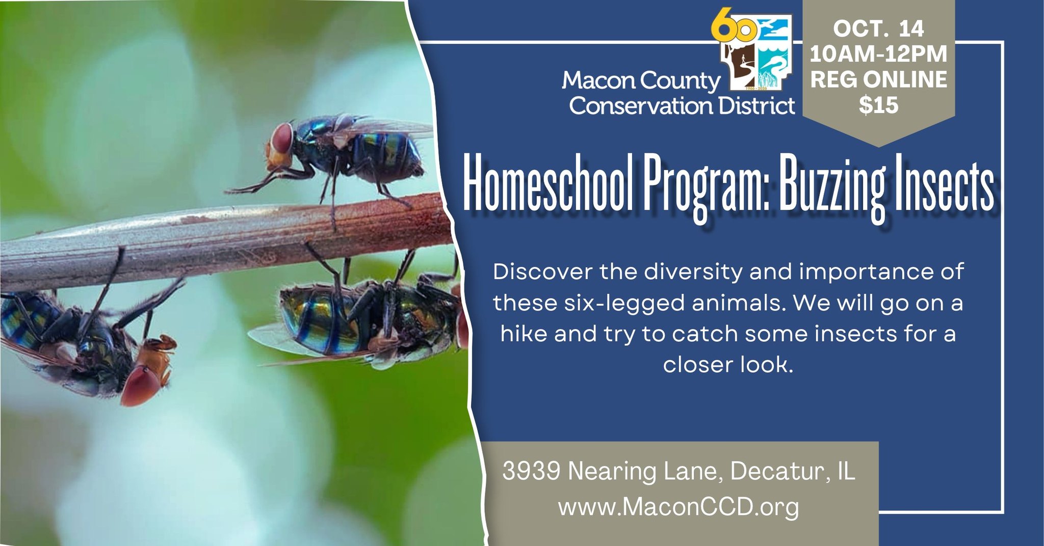 Homeschool Program: Buzzing Insects
