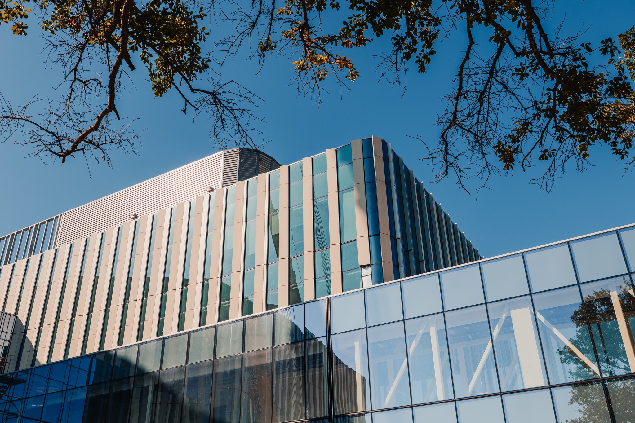 UT Tyler School of Medicine Building Open House
