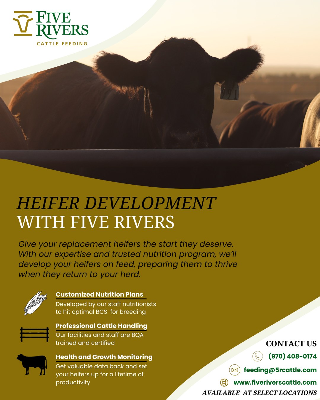 Five Rivers Cattle Feeding... - Five Rivers Cattle Feeding