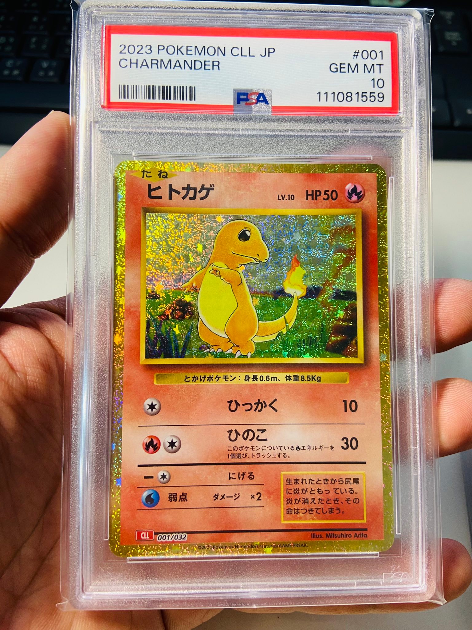 ダ*ム様 PSA 10 ヒトカゲ #001 2023 Pokémon ダ*ム様 PSA 10 ヒトカゲ