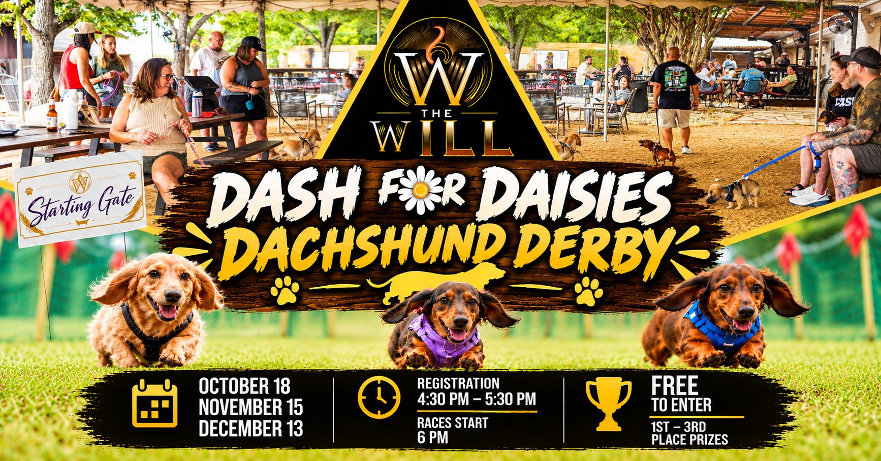 Dash For Daisies Dachshund Derby | Weenie Dog Races