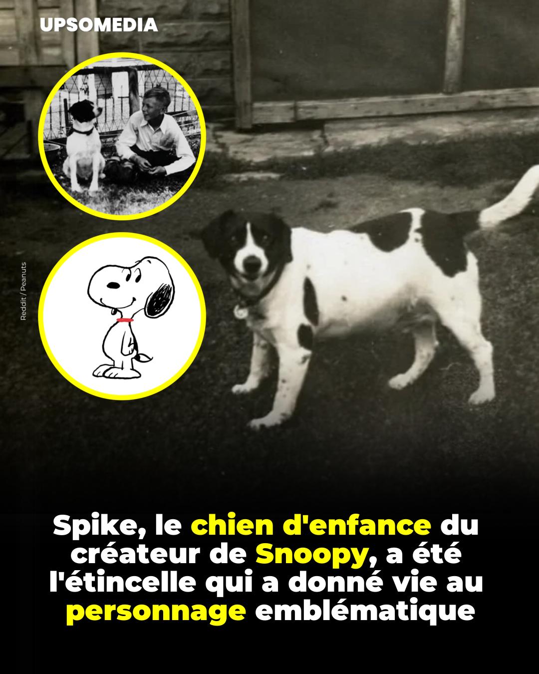 Le - Le personnage emblématique de Peanuts, Snoopy, est directement ...