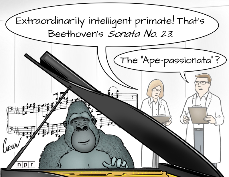 Curnow Cartoons