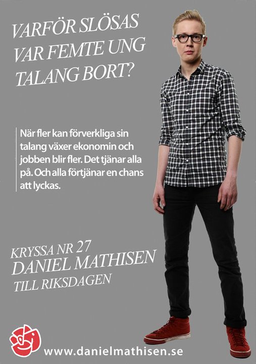 Daniel Mathisen till riksdagen 2010 - Varför inte?