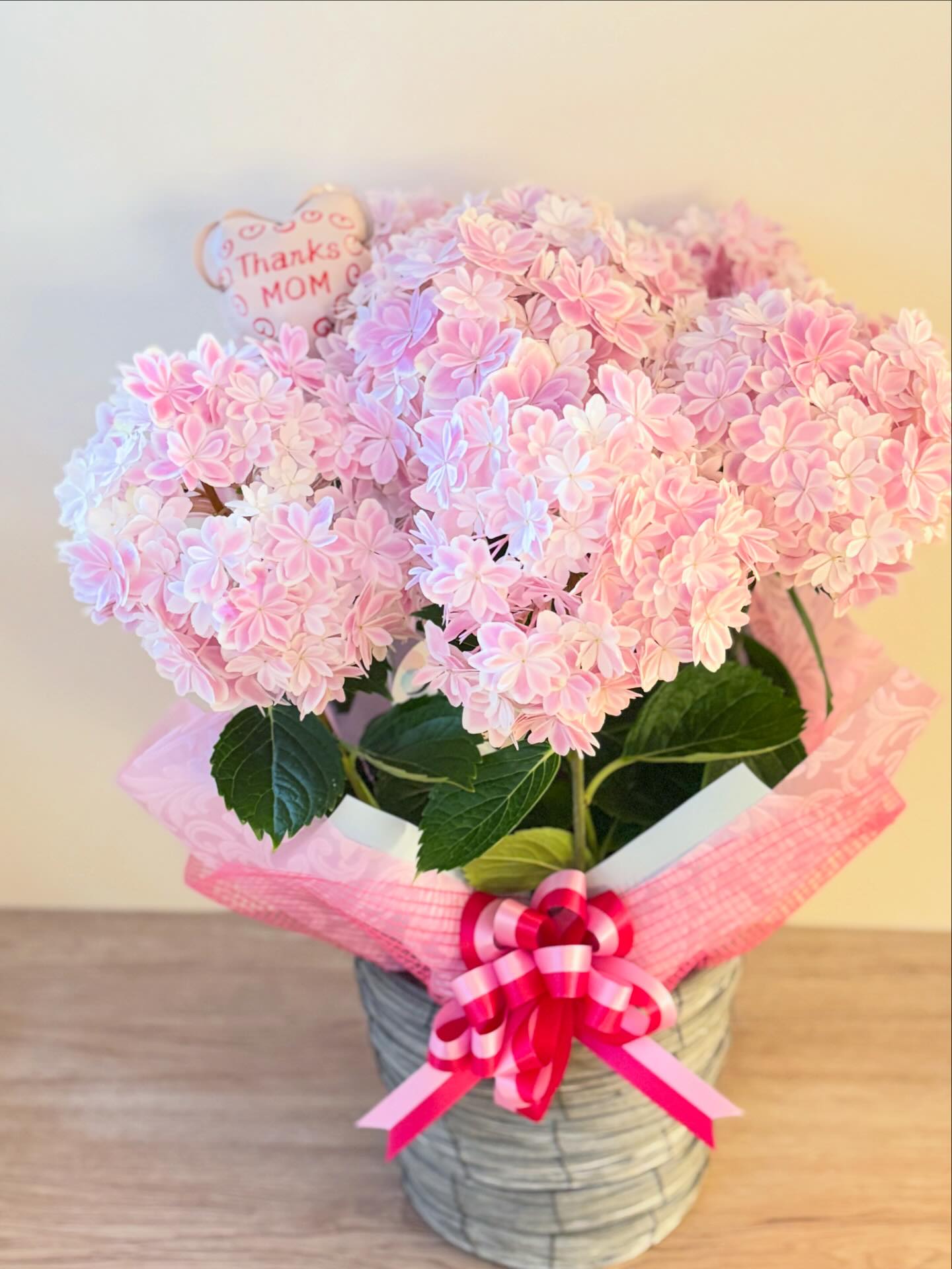 Mother's day 10鉢限定!!! ⁡希少品種アジサイ「万華鏡ピンク」 ⁡ 繊細