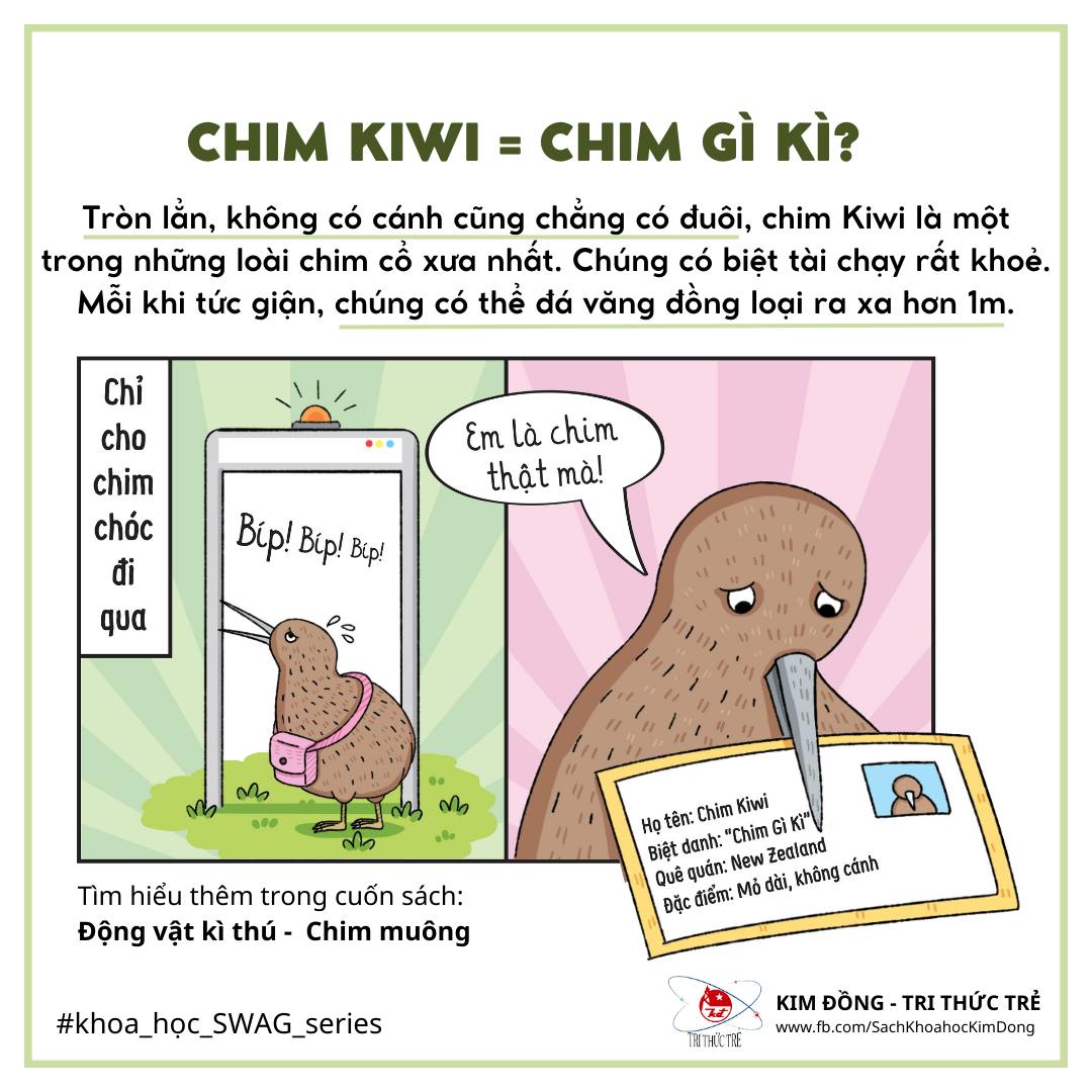 Chim Kiwi, biệt danh: “CHIM GÌ... - Kim Đồng - Tri thức trẻ | Facebook