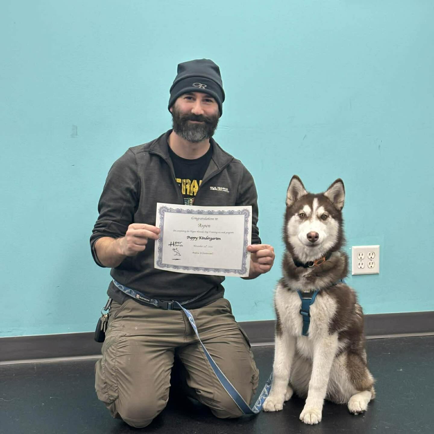 Hyper Hounds Dog Training | Calgary AB