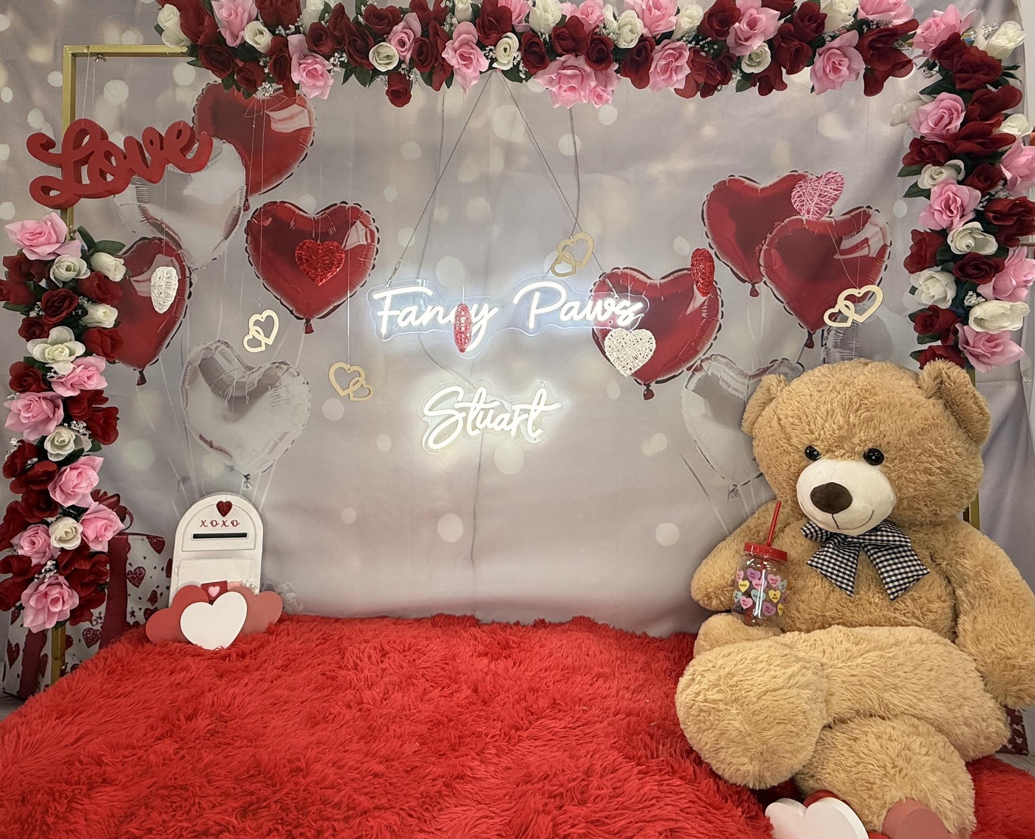Fancy Paws Stuart | Stuart FL
