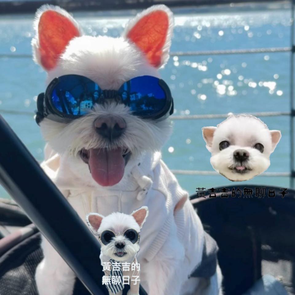 黃吉吉的無聊日子