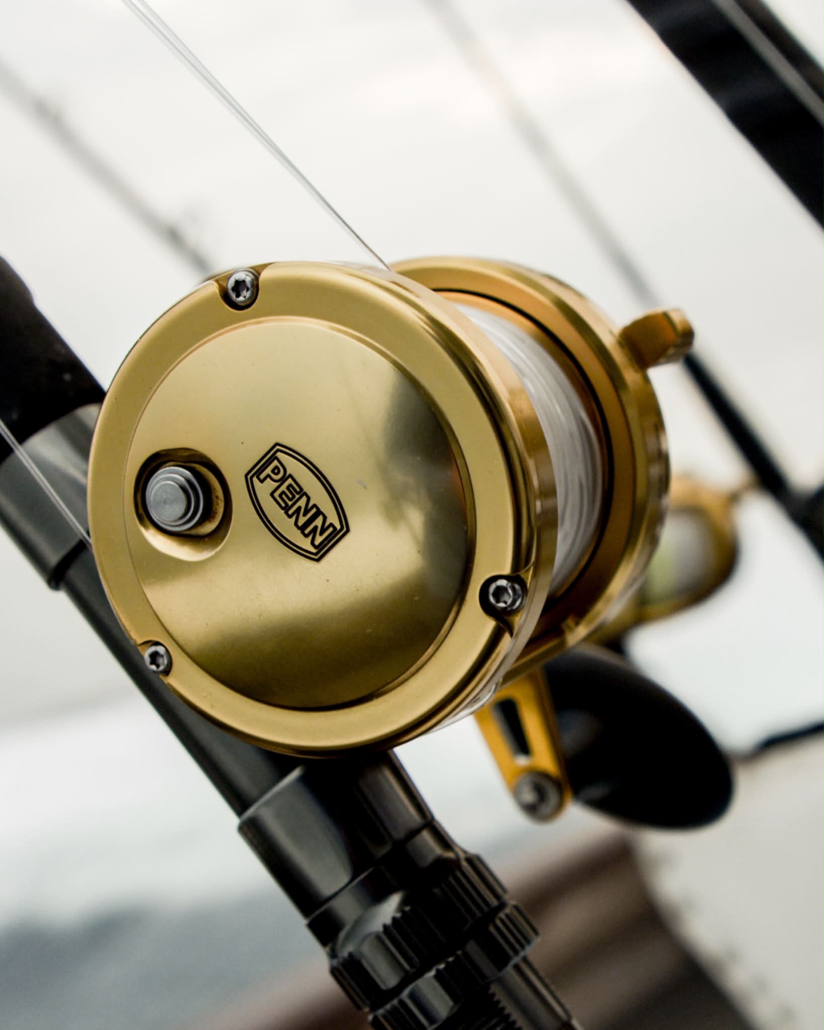 【今日限定値下げ】PENN BLACK HAWK BHJS632 PENN Fishing - PENN Fishing added a new photo.
