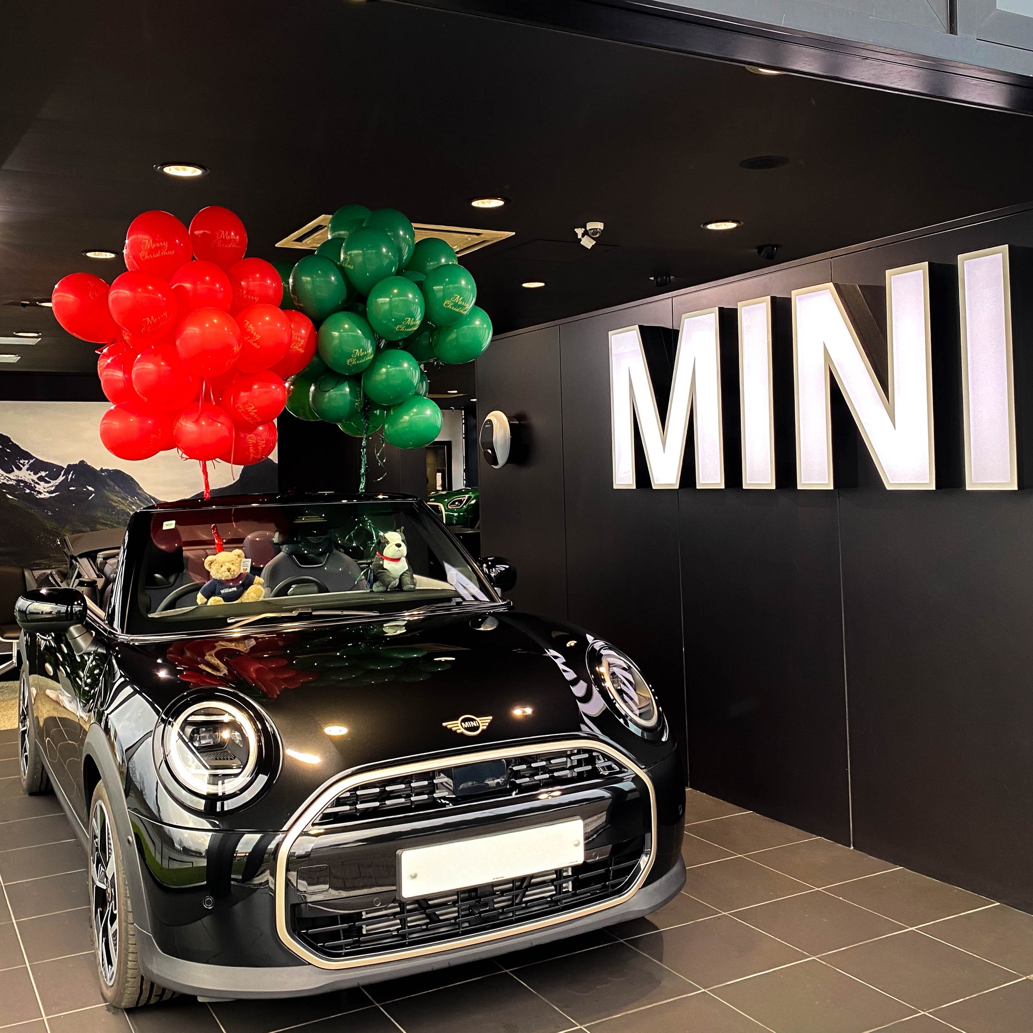 Williams MINI