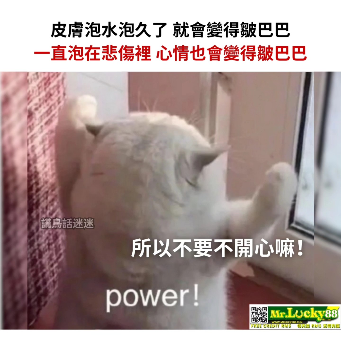 讲鸟话迷迷 - 在家傷心也是一天 陪我喝茶也是一天😗 IG: birdtalkmeme . . #梗 #梗圖 #梗图 #梗圖系列 #梗图系列 ...