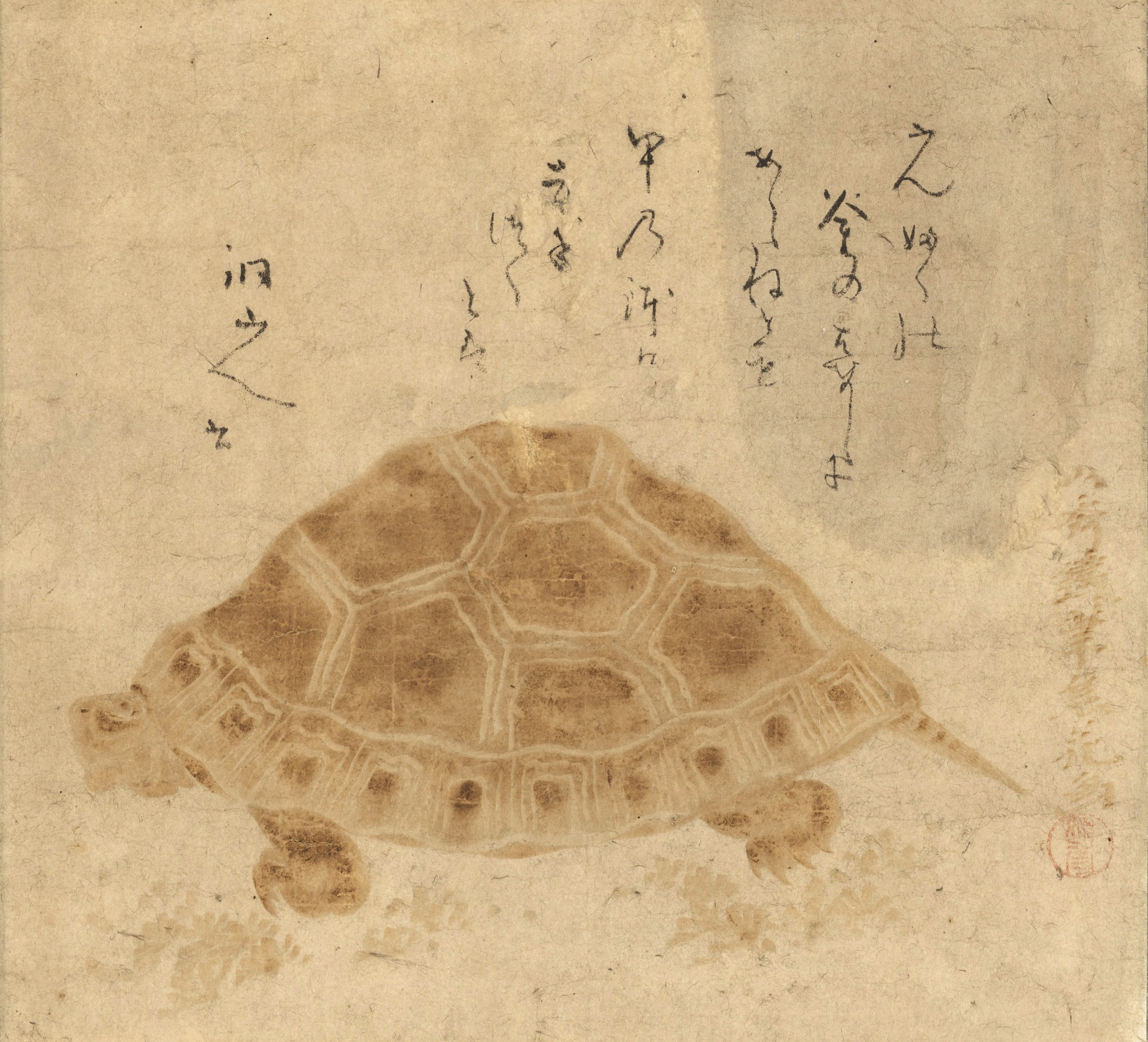 焦がして描いた茶色いカメさん🐢 / 4月12日（日）まで「焼絵 茶色の