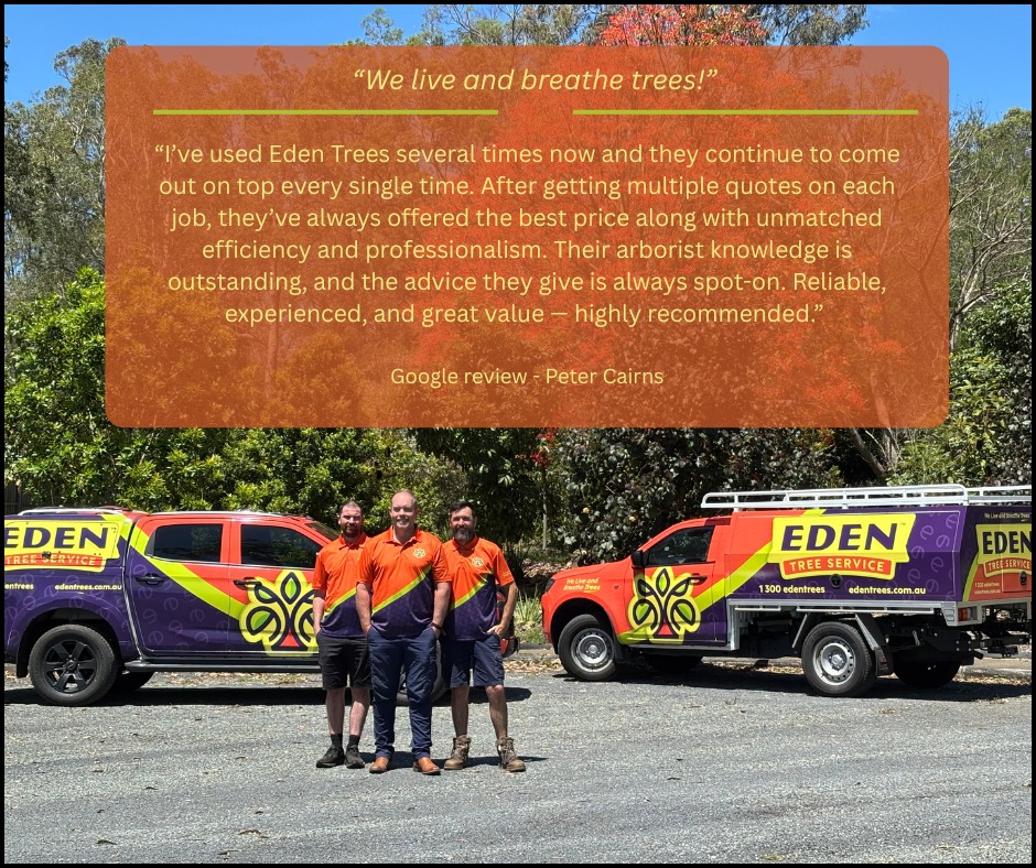 Eden Tree Service | Chambers Flat QLD