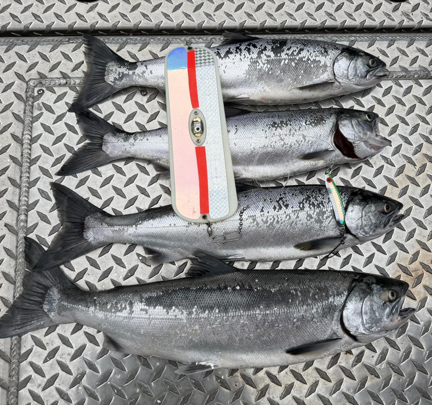 extreme-board.com fish hook Torpedo Tournament Treble Hooks 10 Pack – Lake Michigan Angler Knife Edge Point Tapered brazed eye Forged Nor Off the Hook: Extreme Catches
