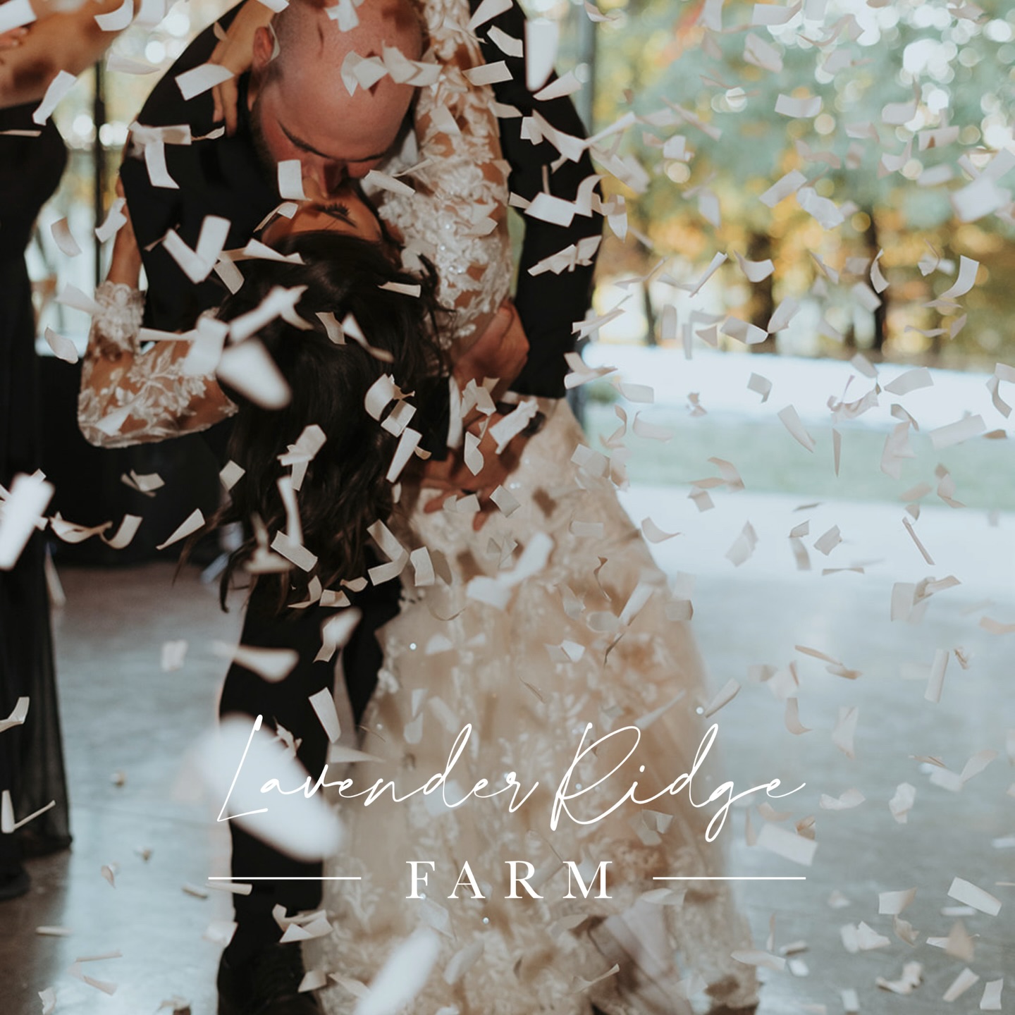 Lavender Ridge Farm | Heath OH
