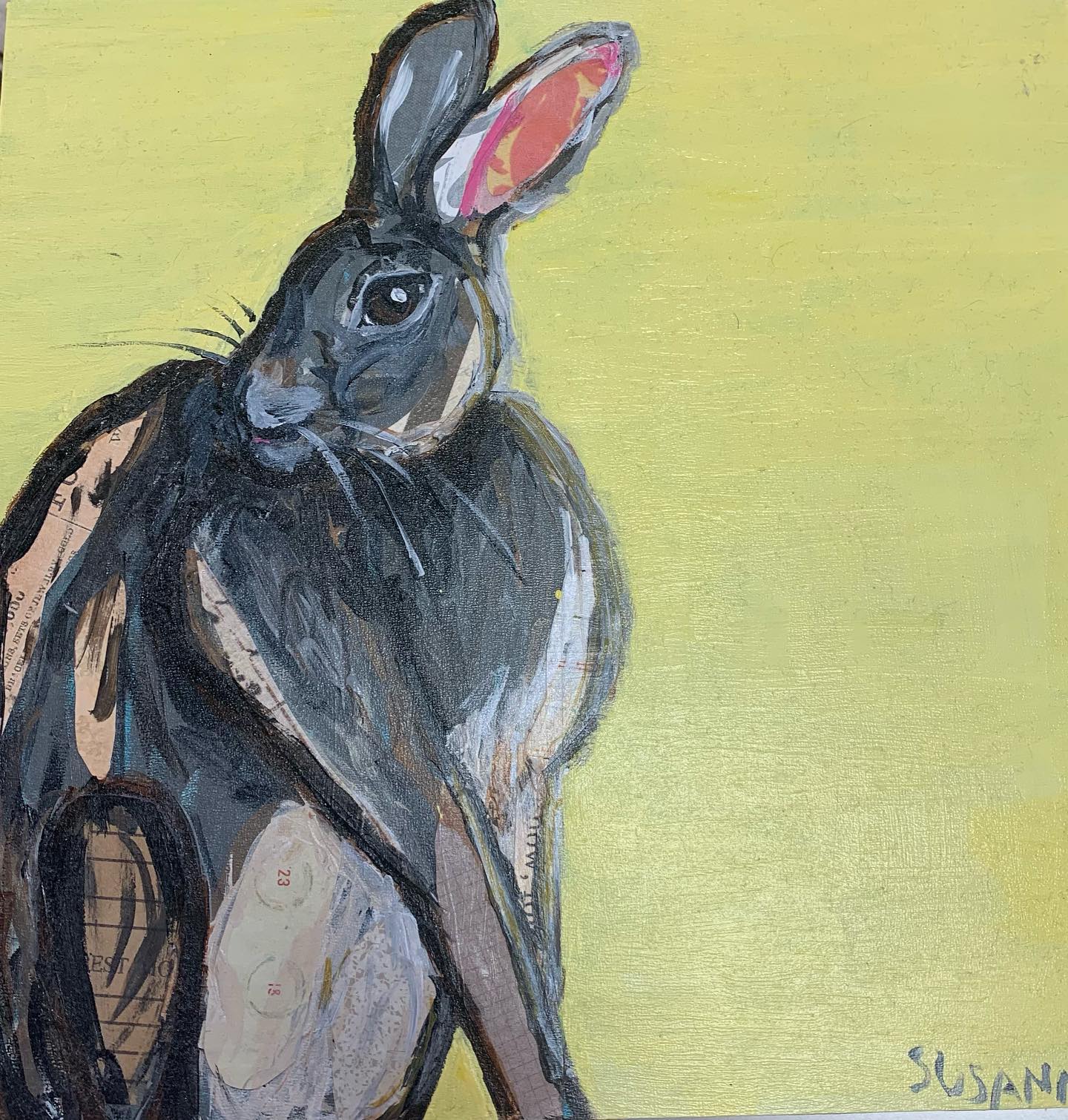 Stuff-RVA - “Coy Rabbit” - 2020’s calendar baby - August....