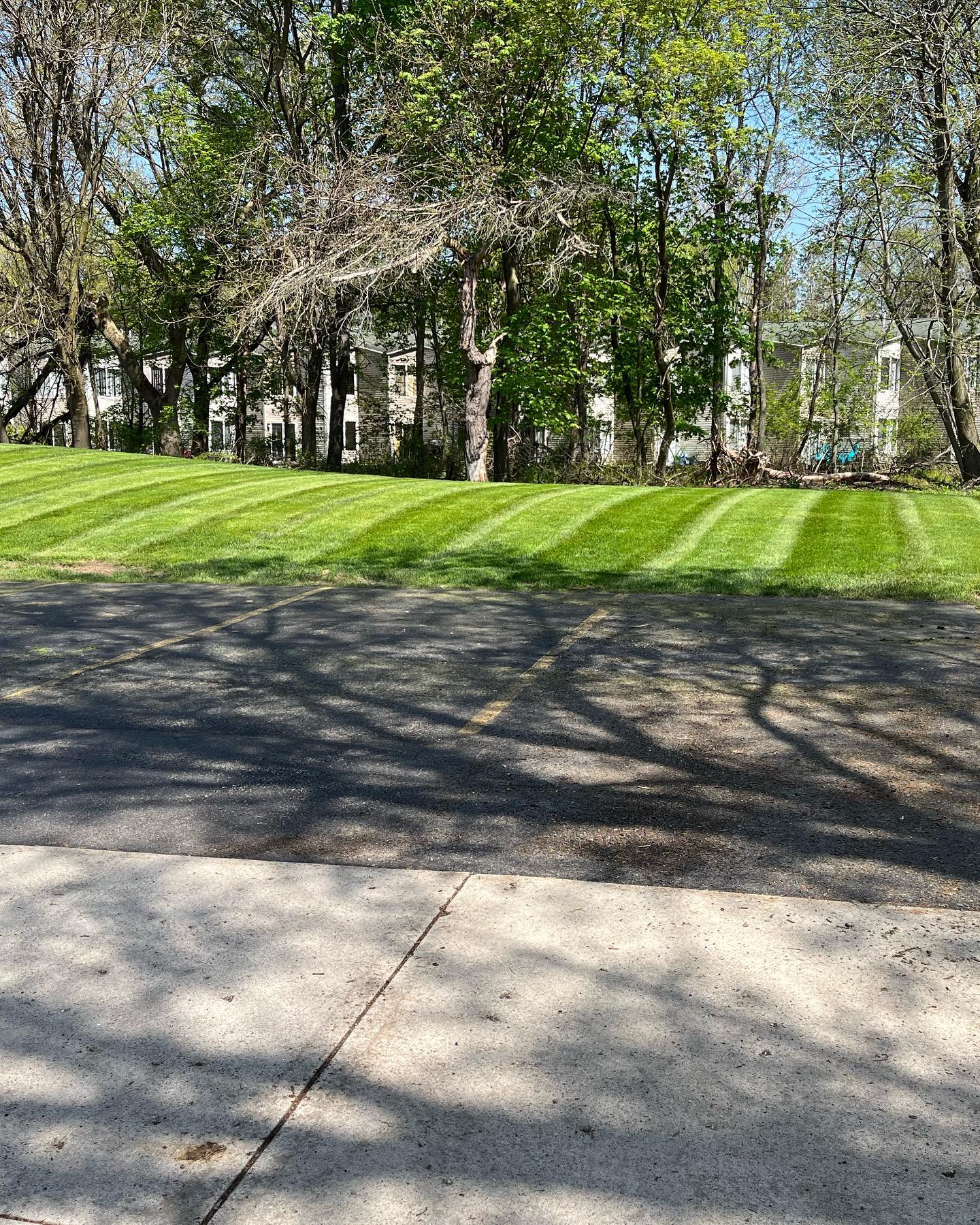 North Shade Lawn | Carson City MI