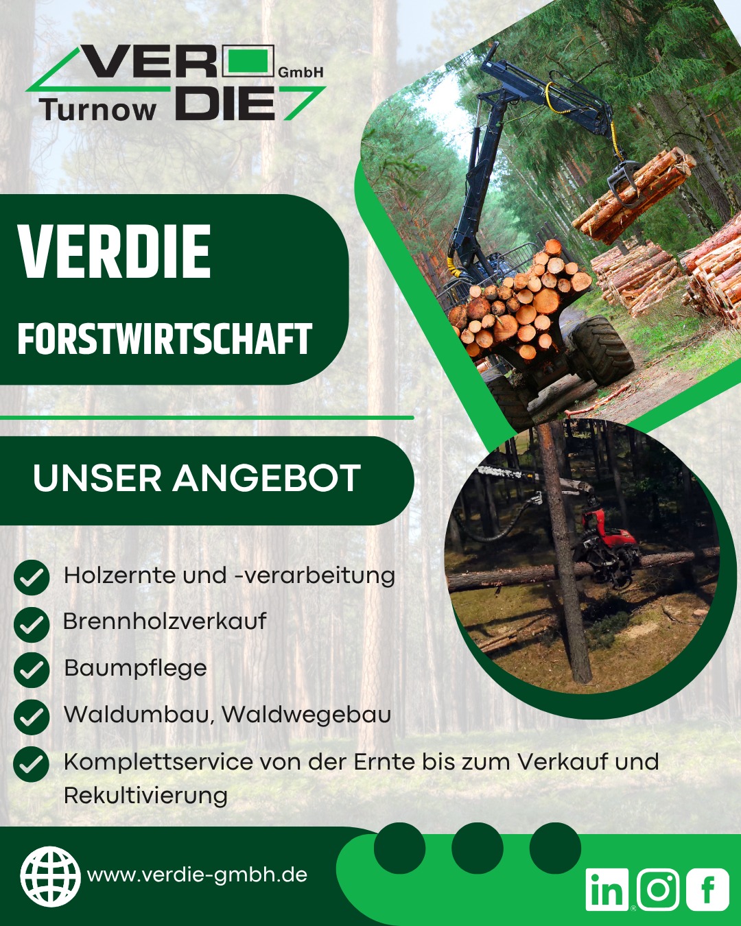 Verdie GmbH - 🌲 Wald im Blick. Zukunft im Griff. 🌲 Seit... | Facebook