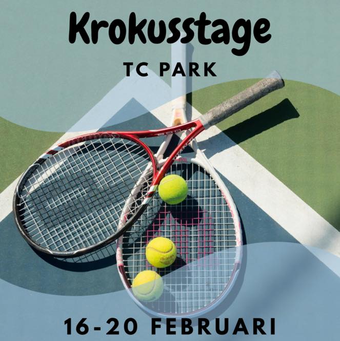 Tennis Club Park Ronse | Ronse