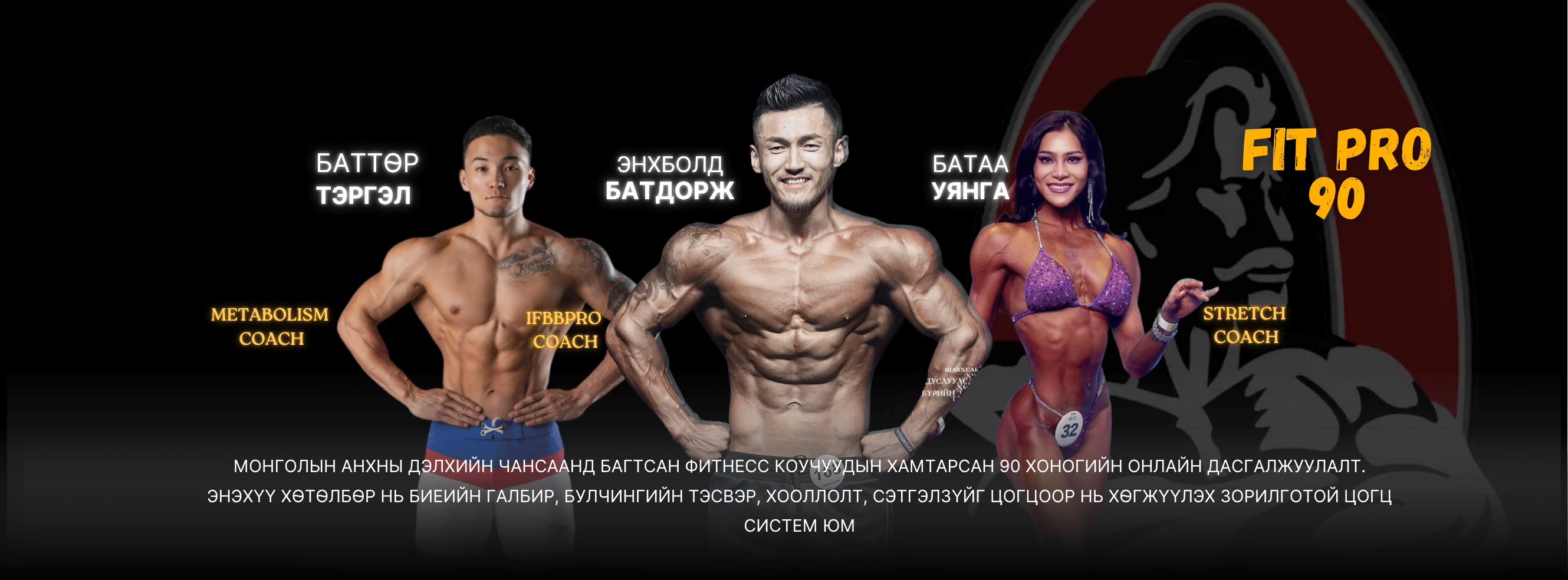 Fit Pro 90 program | Ulaanbaatar