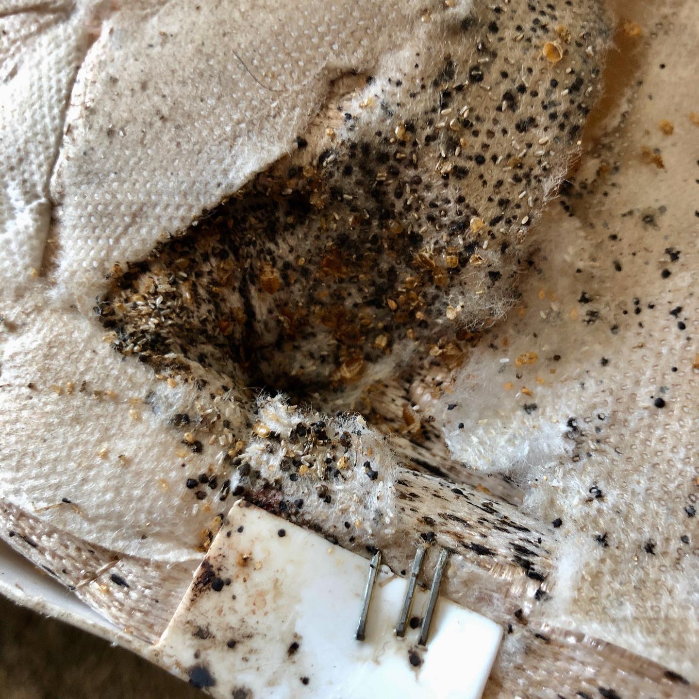 Onpoint Pest & Termite Control | Chula Vista CA