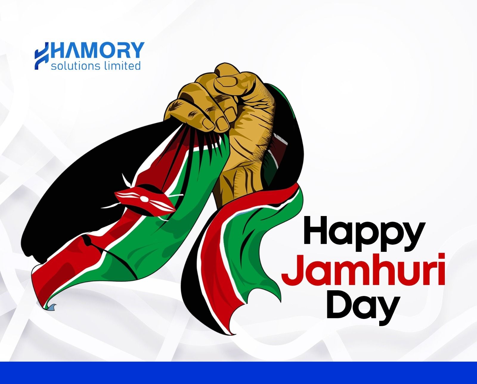 Hamory Solutions Limited | Kasarani