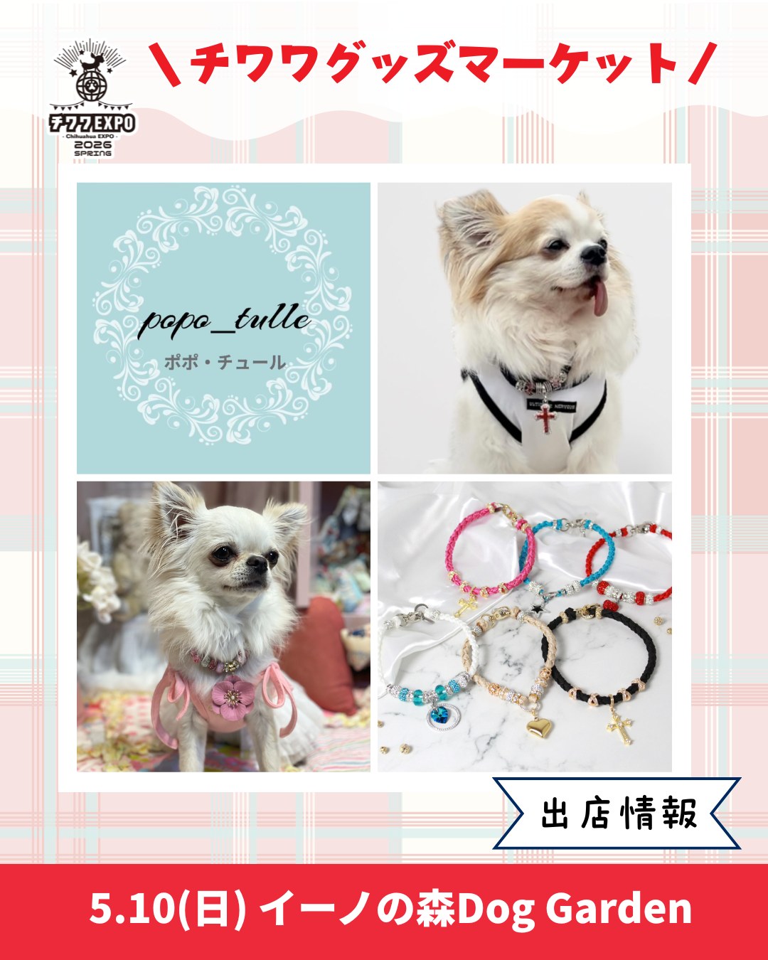 211--⭐販売済品⭐デザインサンプル♥️チワワちゃん柄～^^♥️留具付BOX⭐ 🌹📢 ご愛犬と一緒に買い物を楽しむことができる「チワワグッズ