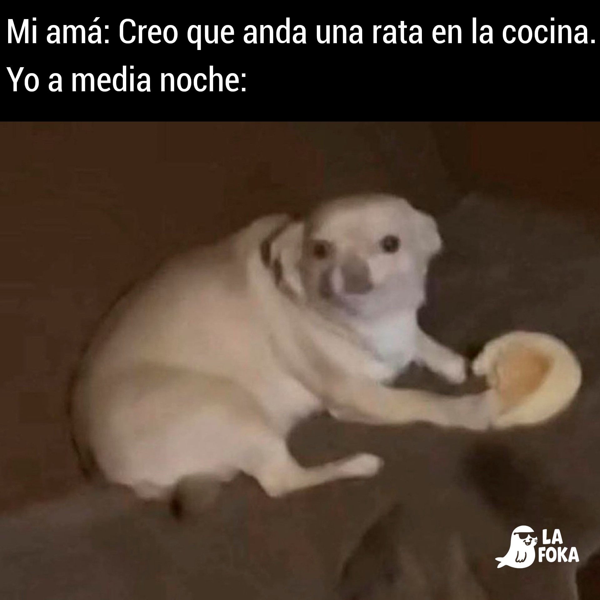 La Foka - La Foka added a new photo.