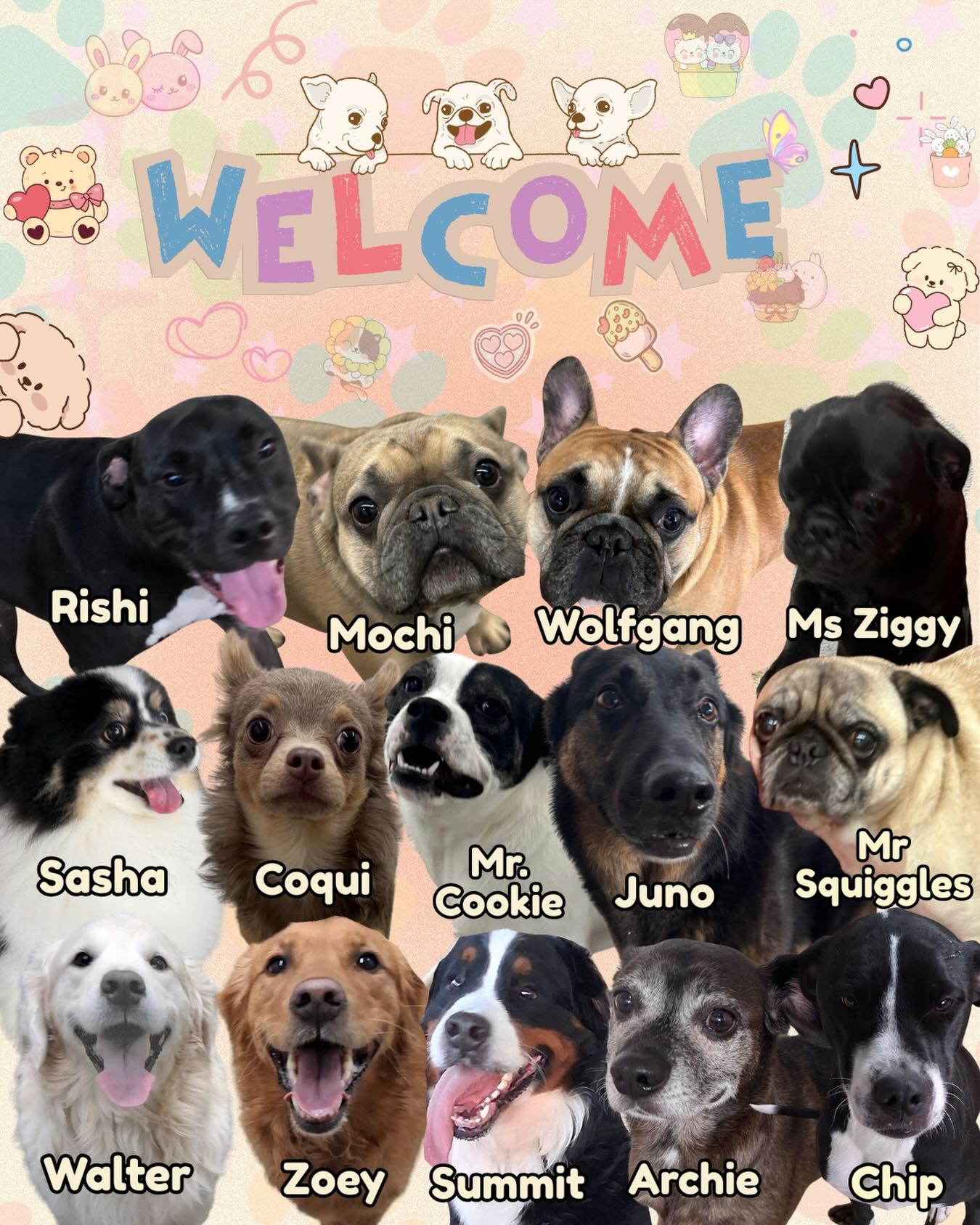 Paws - We’re excited to welcome our furry friends to PawsVIP 🐶🐱 From ...