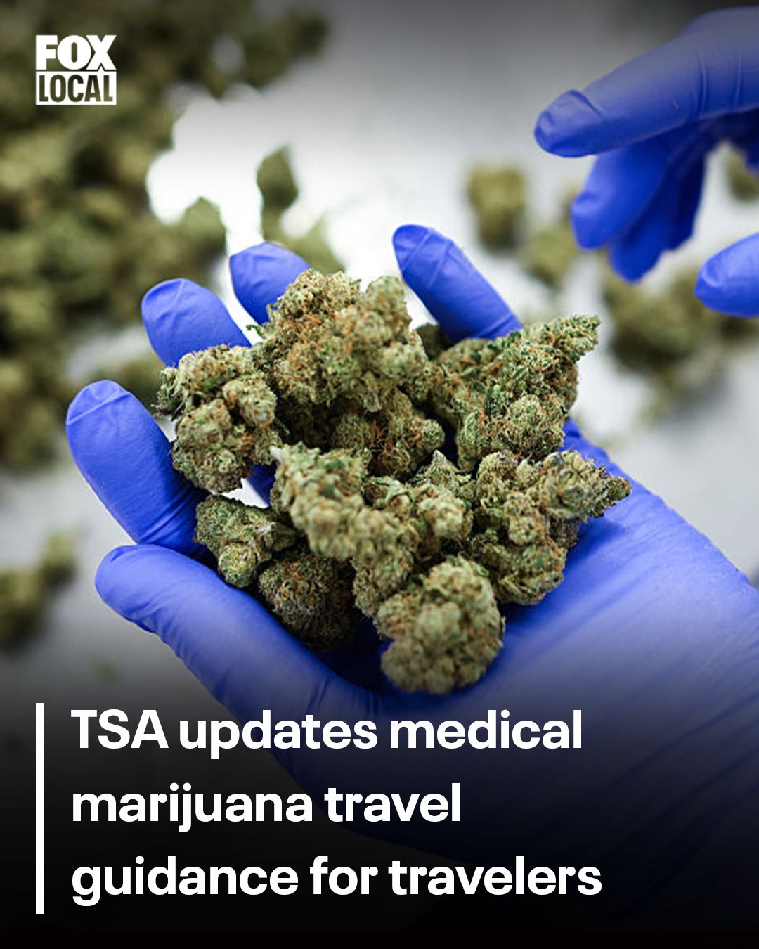 disposable thc vape tsa The Transportation Security Administration (TSA) has updated its guidance on traveling with medical marijuana, adding information to its 