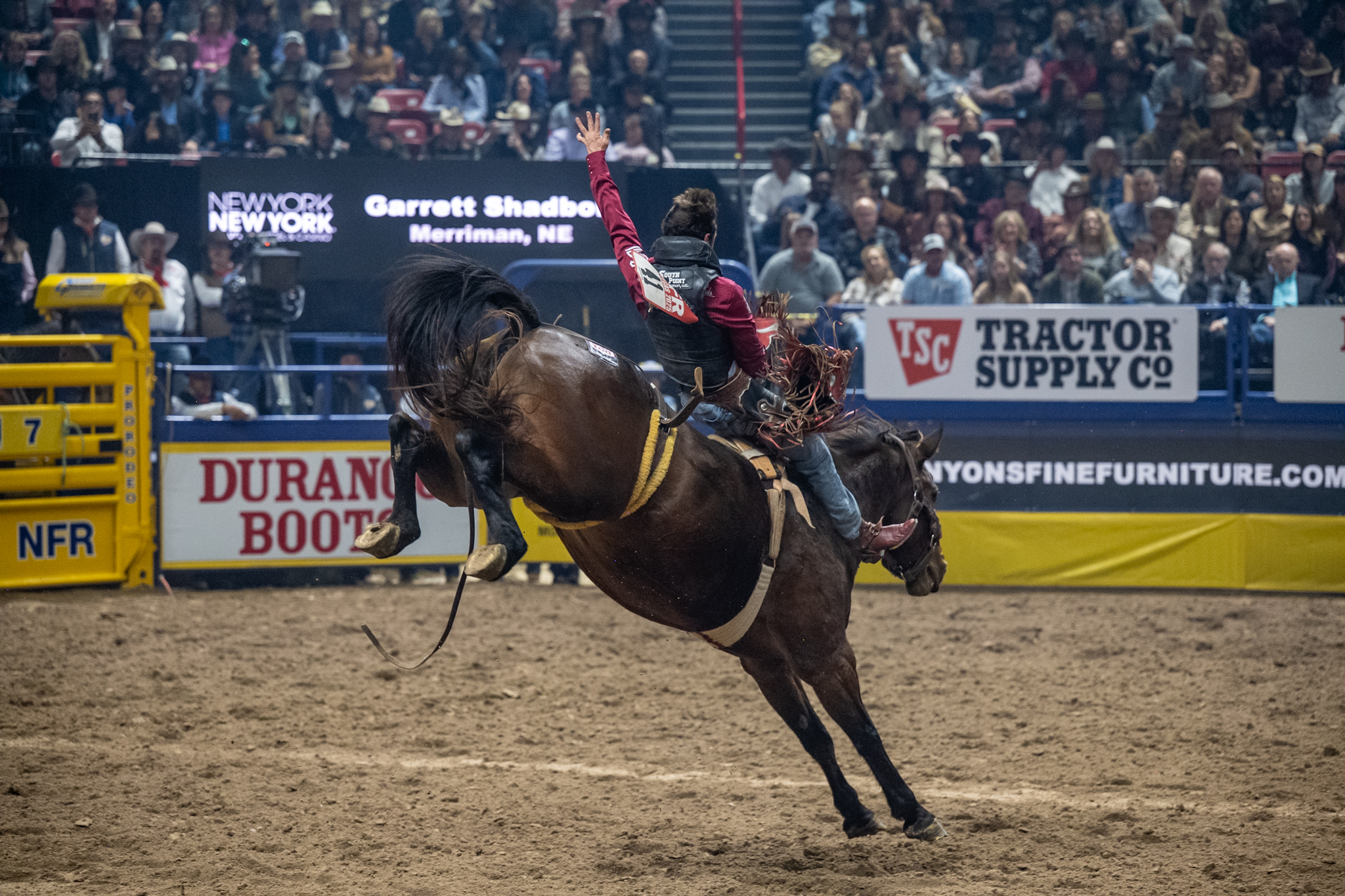Pete Carr Pro Rodeo added a new... - Pete Carr Pro Rodeo