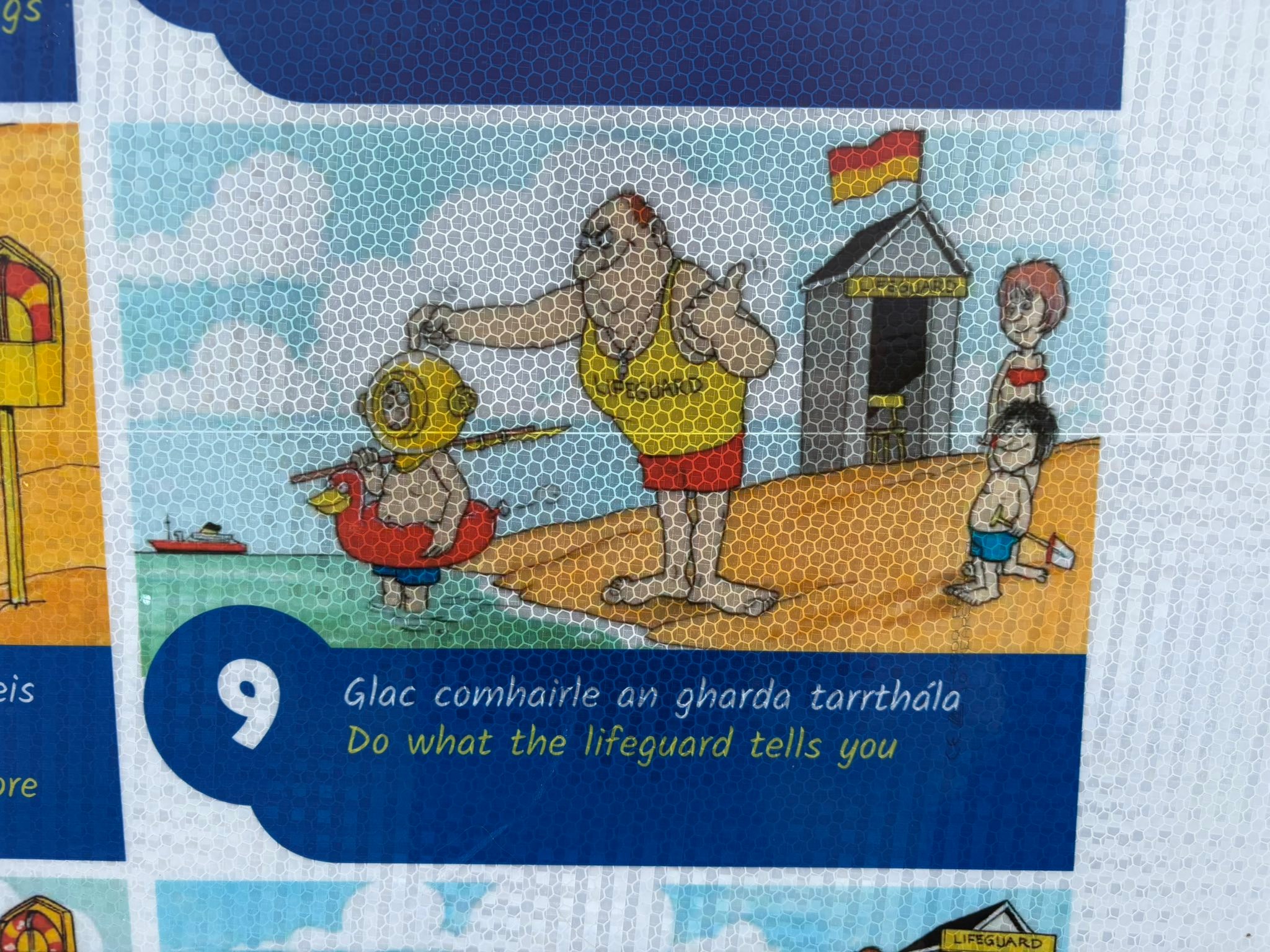 Common Sense Training
