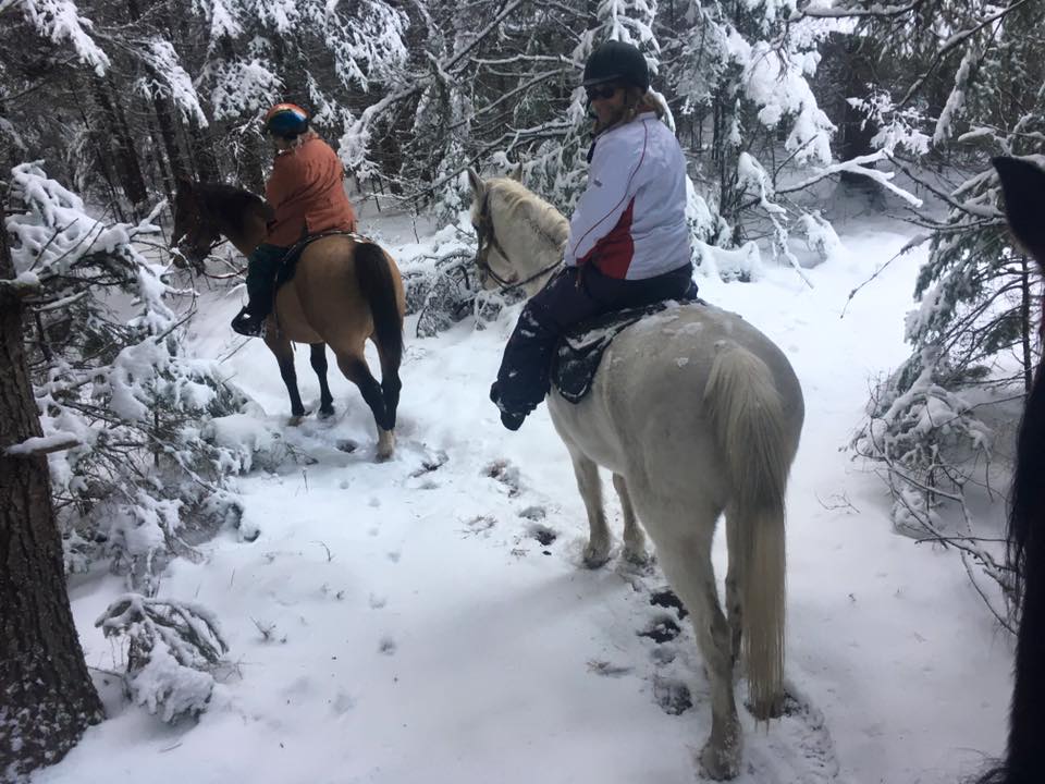 Emerald Springs Adirondack Ranch LLC | Saranac Lake NY