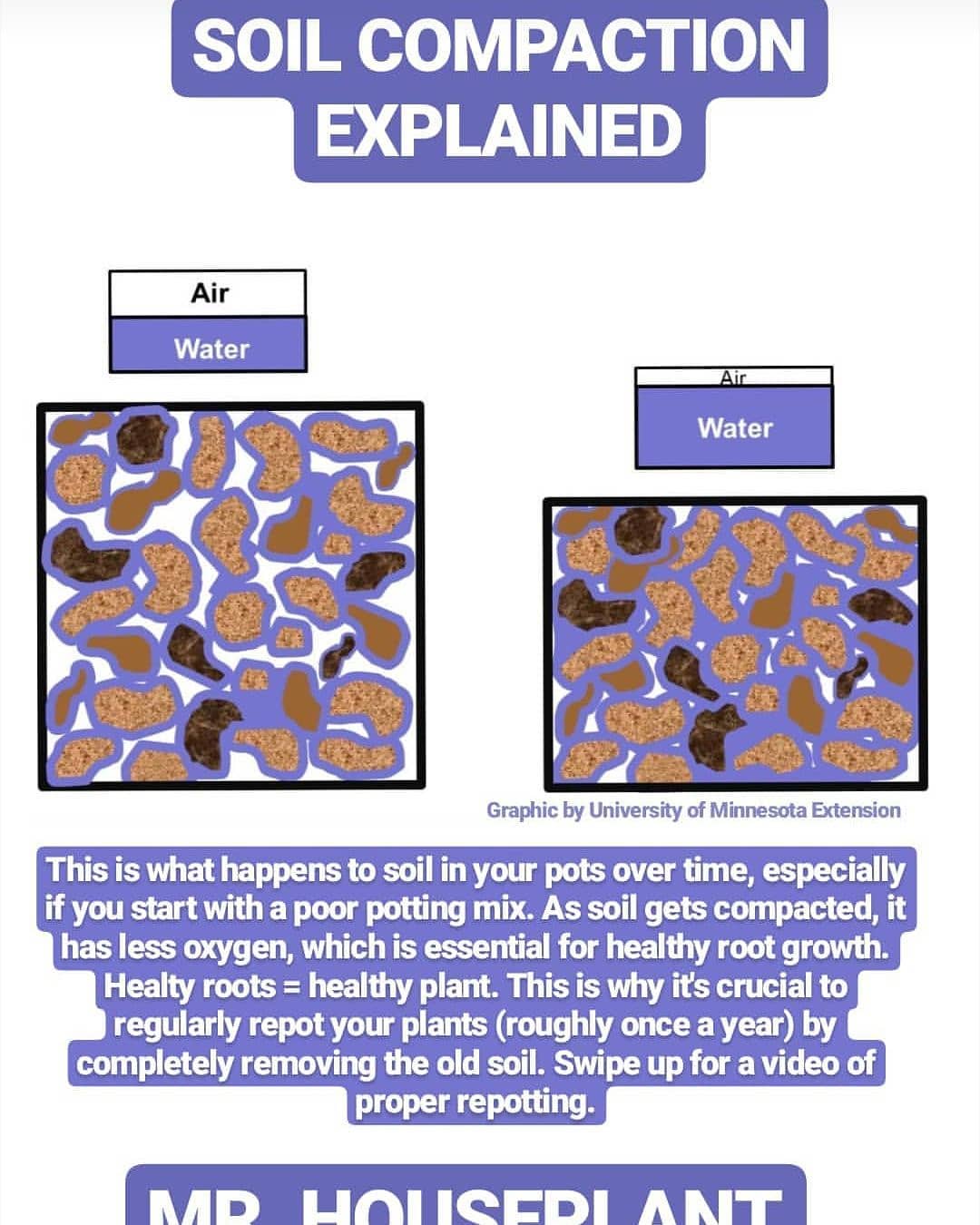 Mr. Houseplant - Soil compaction explained - This is what...