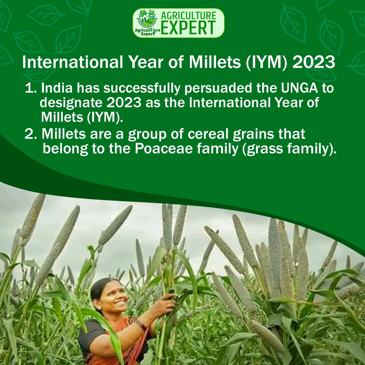🌾 Millets: India ka Super Grain! 2023... - Agriculture Expert | Facebook
