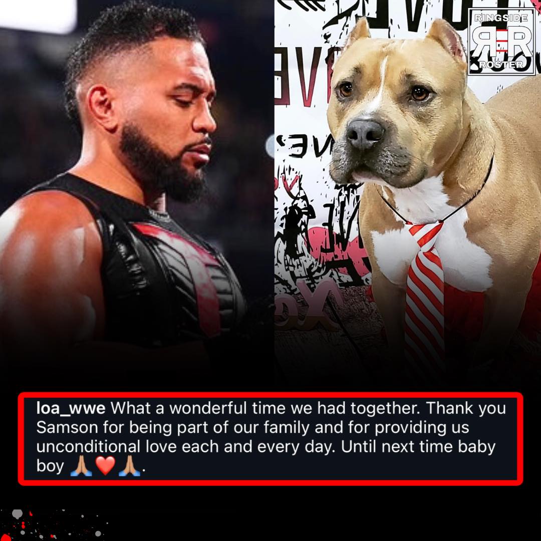 WWE star... - The Ringside Roster-Wrestling News & Rumors | Facebook
