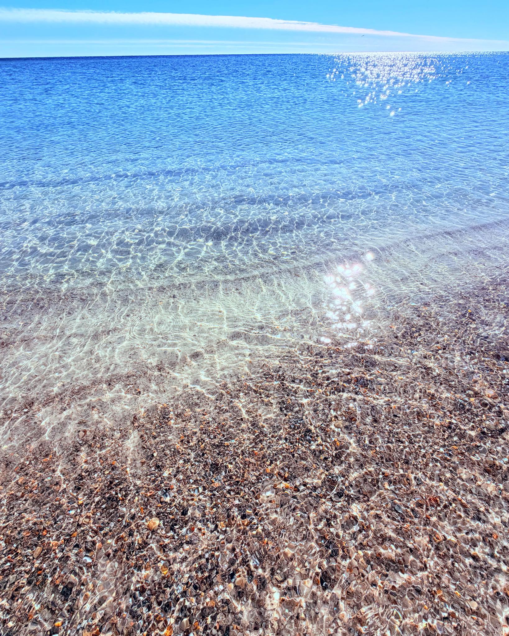 All - If you look closely, you can see tons of shells beneath the ...