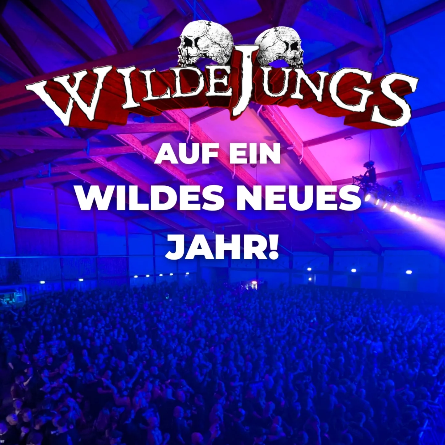 wilde-jungs
