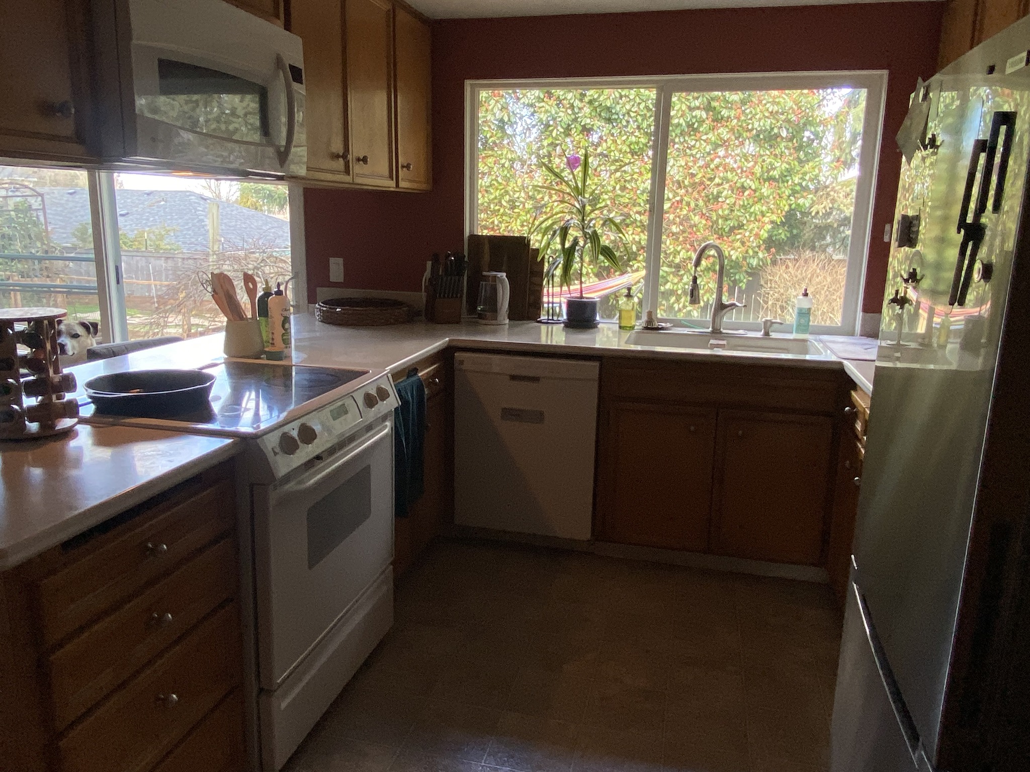 3 Beds 2 Baths House - Property Rentals - Eugene, Oregon | Facebook ...
