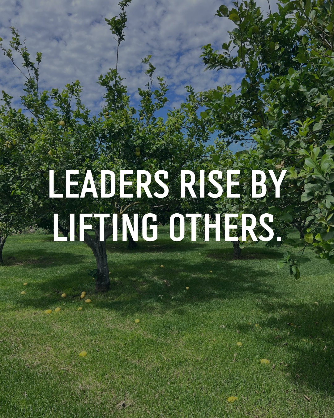 Zig - True influence grows when success is shared, encouragement is ...