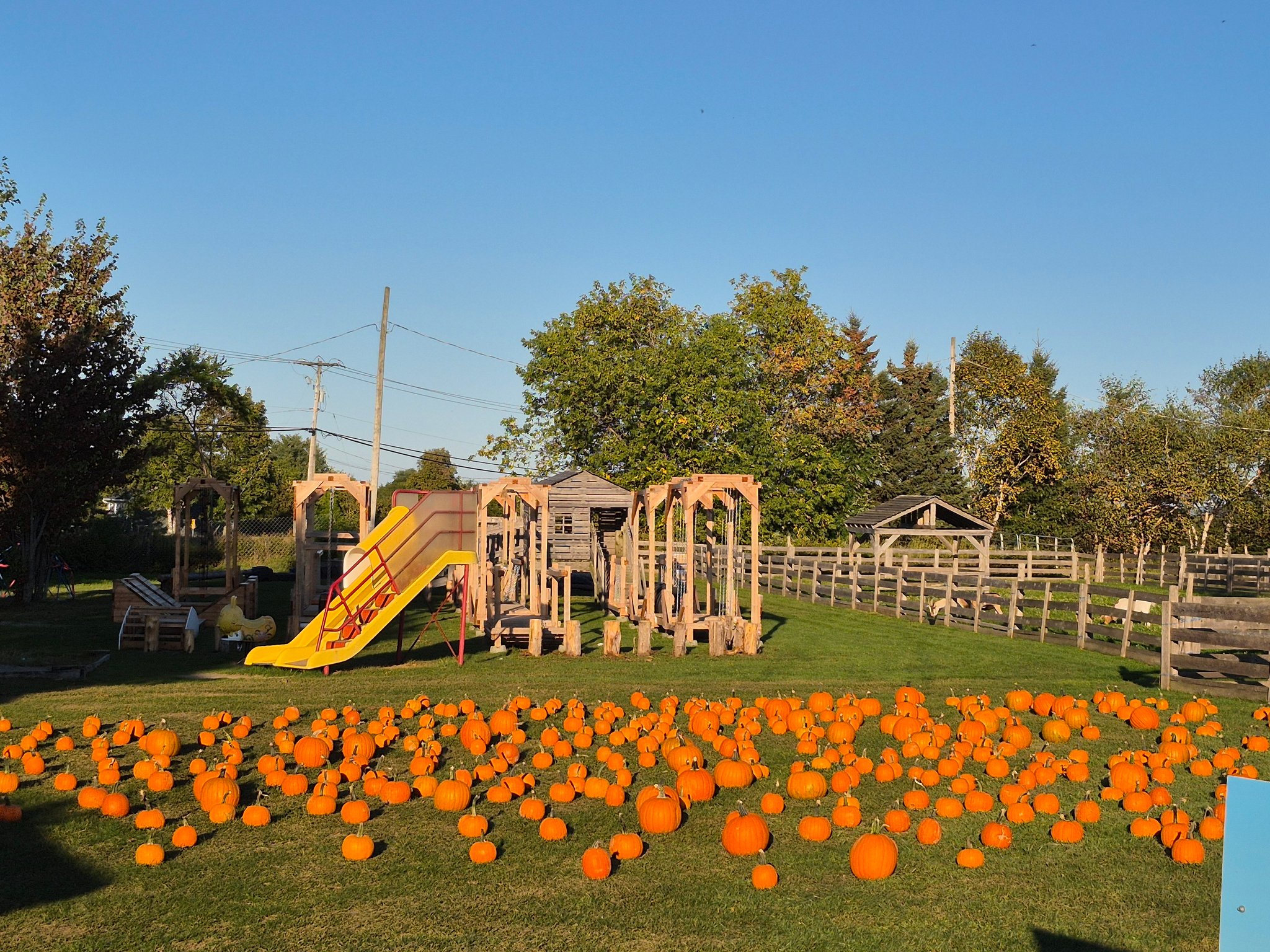 Ferme Mathurin | Saint-Michel QC