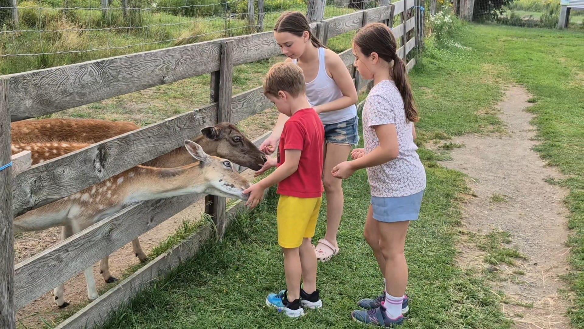 Ferme Mathurin | Saint-Michel QC