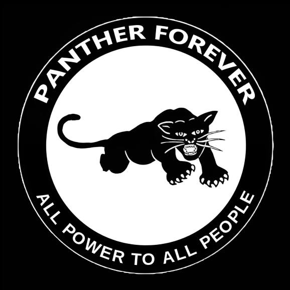 Friends of United Panther Party | # **The Five Questions That Anchor ...