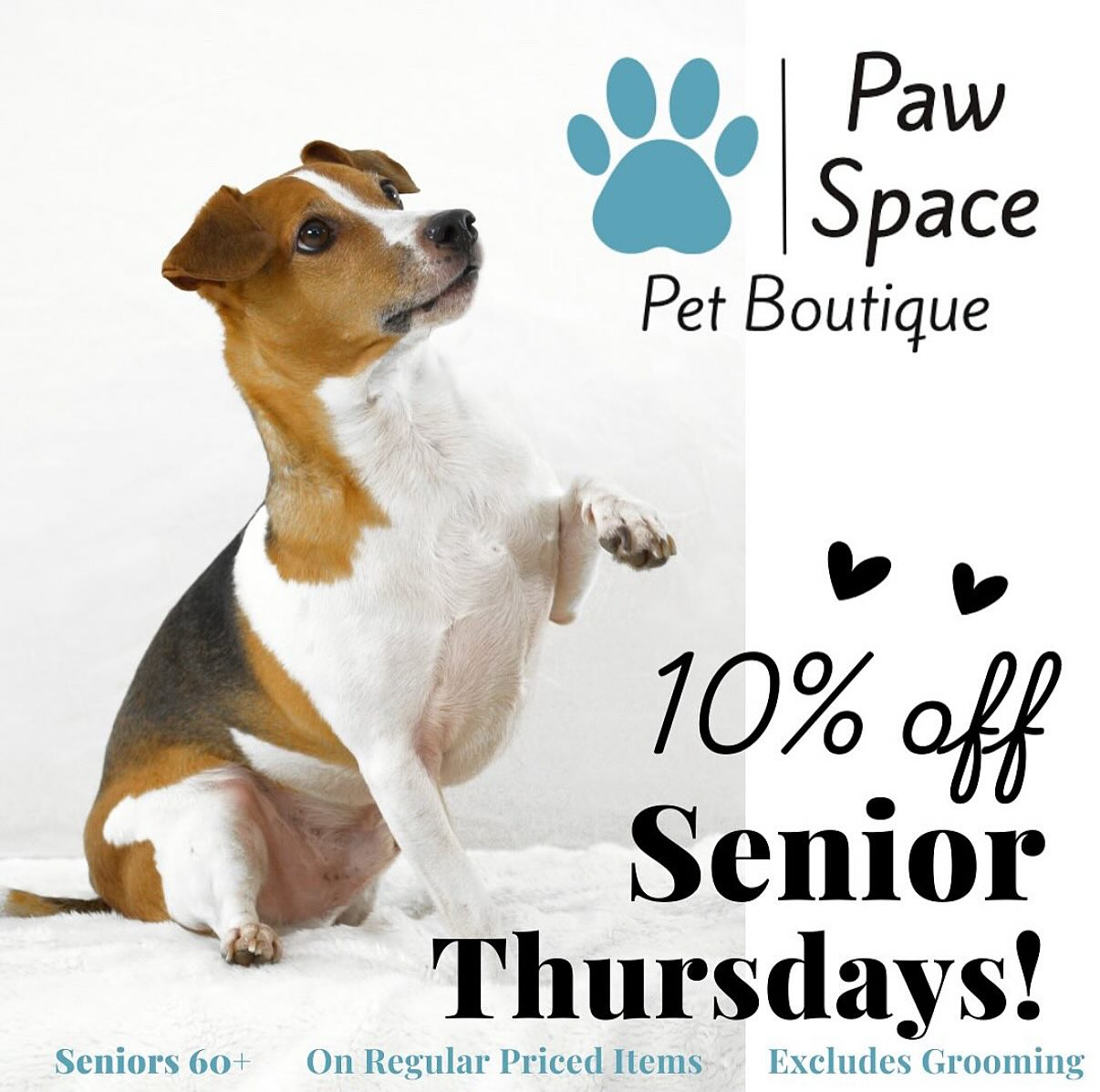 Snapshot of Senior Citizen Pet Grooming Deals