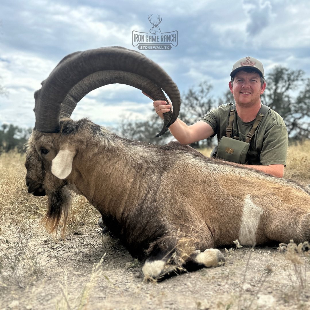 Iron Game Ranch | Stonewall TX
