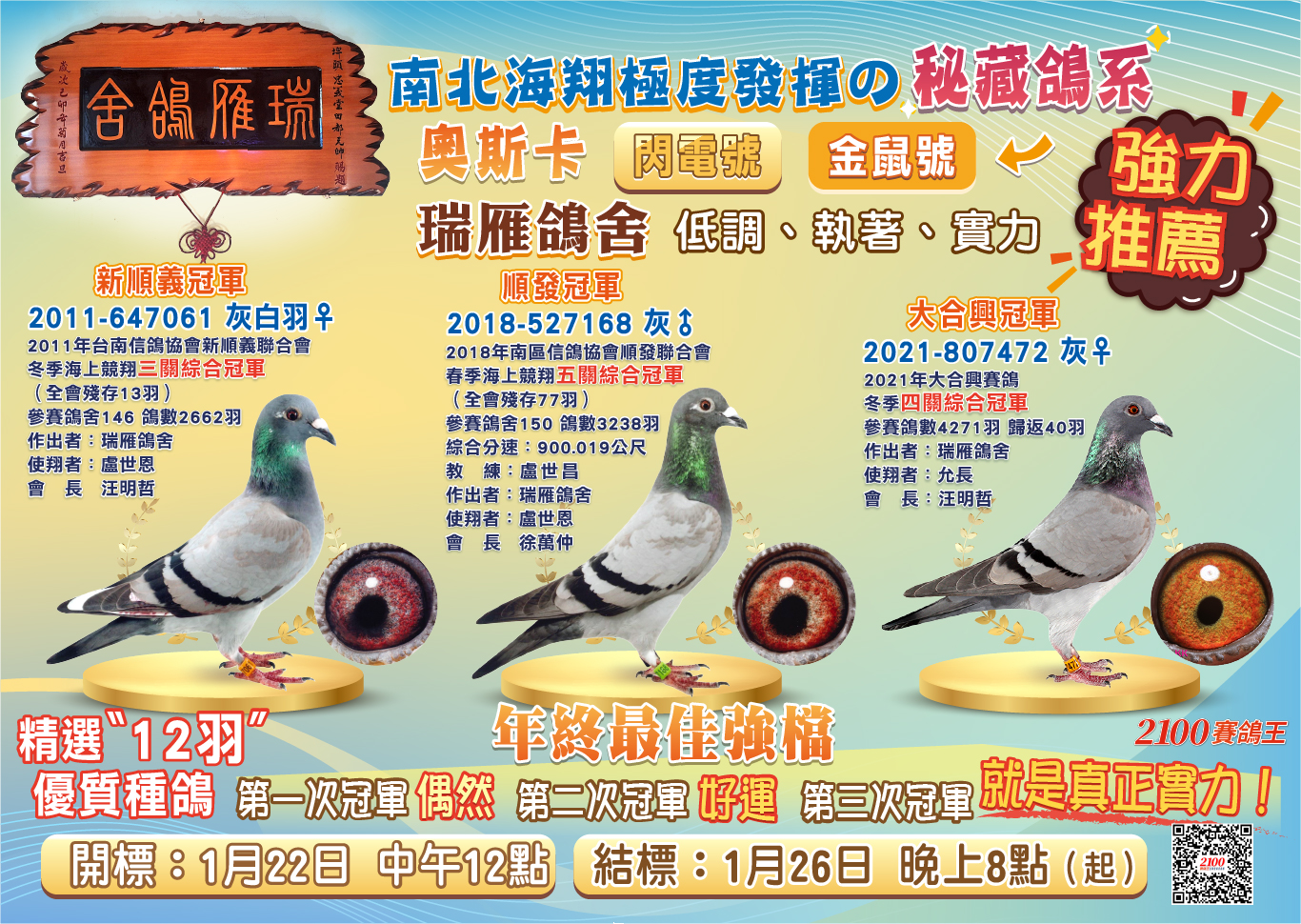 2100賽鴿王