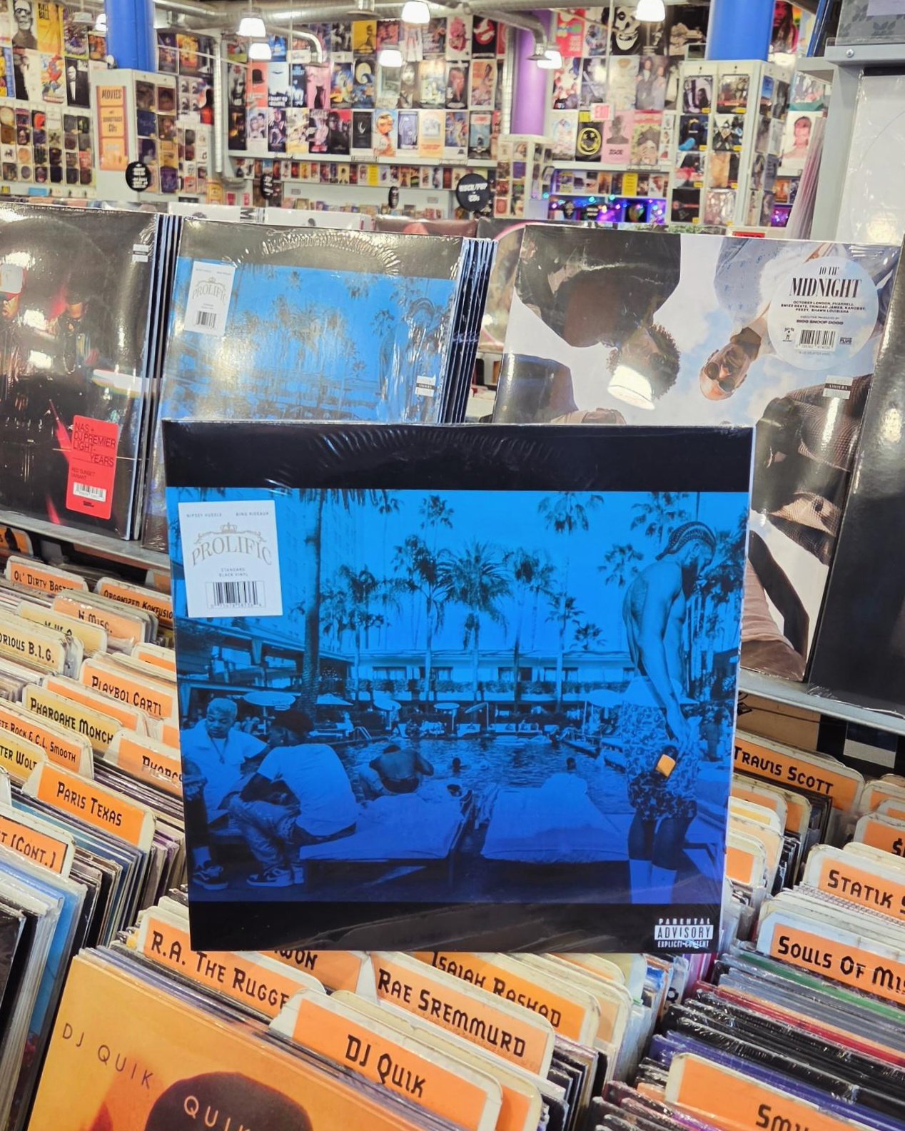 Amoeba - We are honored and thrilled to announce an Amoeba