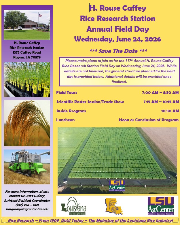 LSU... - LSU AgCenter H. Rouse Caffey Rice Research Station